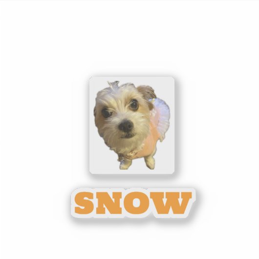 SNOW-4x4 custom cut vinyl sticker (Voorkant)