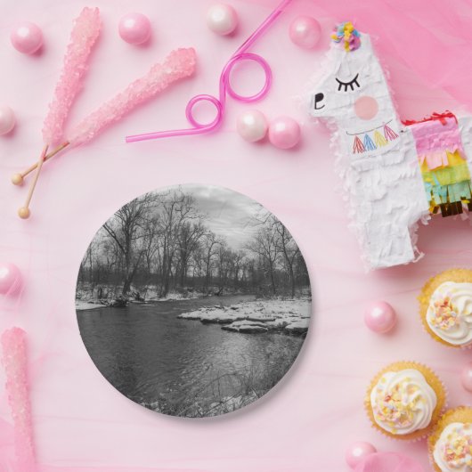 Snow Along James River Grayscale Papieren Bordje (Feest)