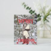 Snow and Poinsettias Photos Merry Christmas  Kaart (Staand voorkant)