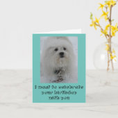 Snow Angels Coton Funny Birthday Card Kaart (Gele Bloem)