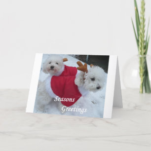 Snow Babys Feestdagen Kaart