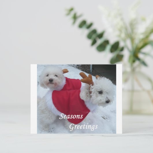 Snow Babys Feestdagenkaart (Staand voorkant)