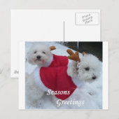 Snow Babys Feestdagenkaart (Voorkant / Achterkant)