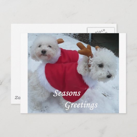 Snow Babys Feestdagenkaart (Voorkant / Achterkant)