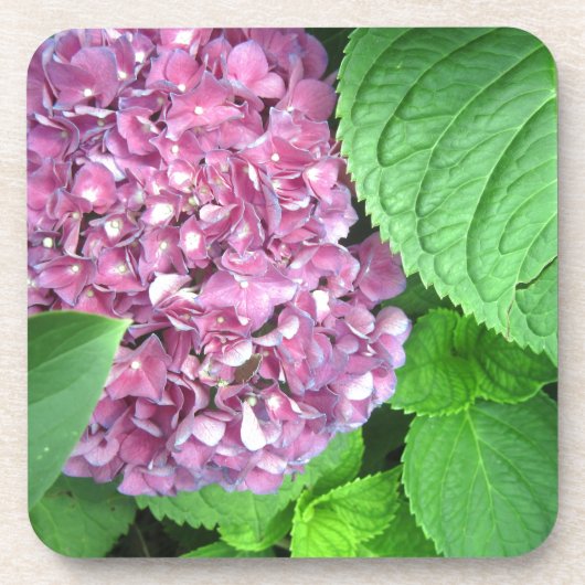 Snow Ball Drankjes Onderzetter (Voorkant)