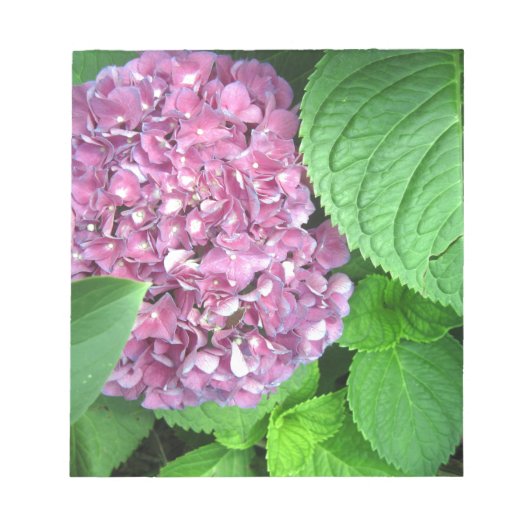 Snow Ball Notitieblok (Voorkant)