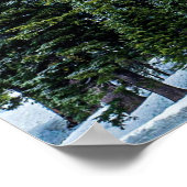 Snow Bank Woodlands // Pine Tree Forest Poster (Hoek)
