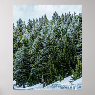 Snow Bank Woodlands // Pine Tree Forest Poster
