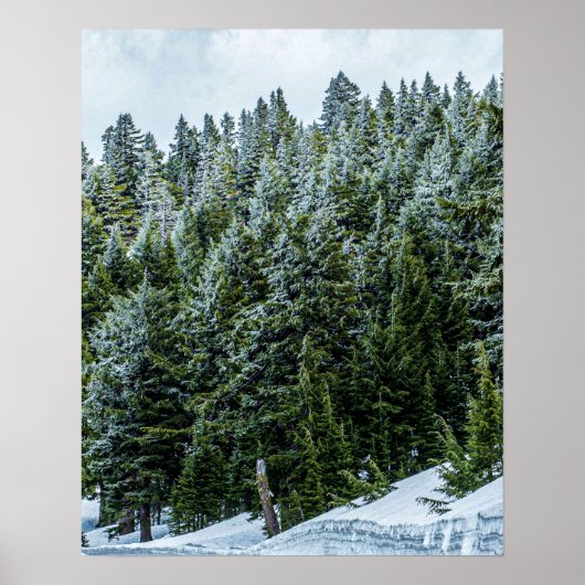 Snow Bank Woodlands // Pine Tree Forest Poster (Voorkant)