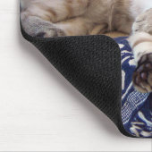 Snow Bengal op Rocker Muismat (Hoek)