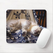 Snow Bengal op Rocker Muismat (Met muis)