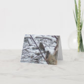 Snow Bird Note Kaarten (Voorkant)