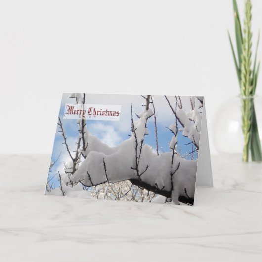 Snow Branch Christmas Card Feestdagen Kaart (Voorkant)