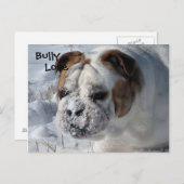 Snow Bully - English Bulldog Briefkaart (Voorkant / Achterkant)