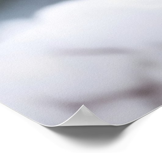 Snow Bunnies Poster (Hoek)