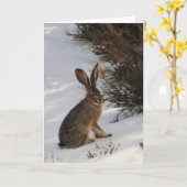 Snow Bunny Kaart (Gele Bloem)