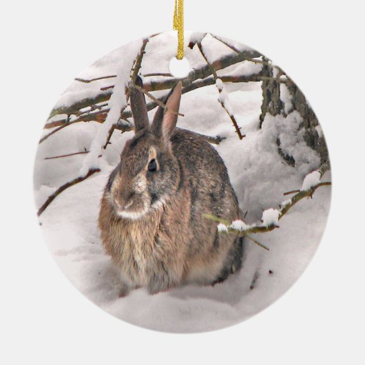 Snow Bunny-kerstversiering Keramisch Ornament (Achterkant)