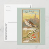 Snow Bunting Briefkaart (Voorkant / Achterkant)