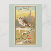 Snow Bunting Briefkaart (Voorkant)