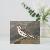 Snow Bunting door John James Audubon,  vogel Briefkaart (Staand voorkant)
