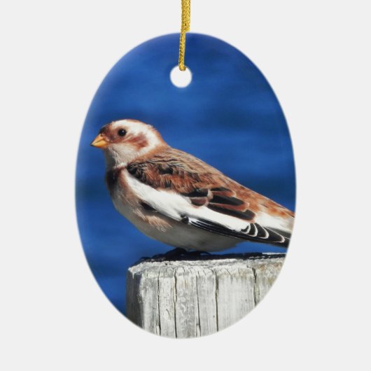 Snow Bunting Keramisch Ornament (Voorkant)