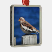 Snow Bunting Metalen Ornament (Rechts)