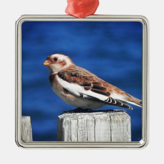 Snow Bunting Metalen Ornament (Voorkant)