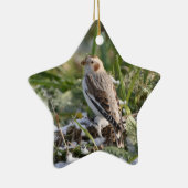 Snow Bunting Ornament (Rechts)