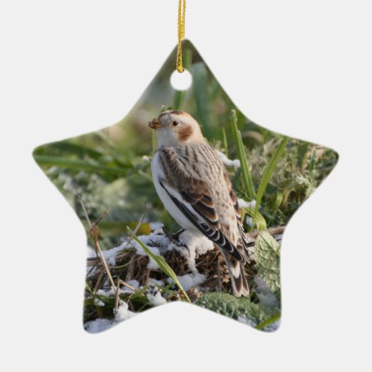 Snow Bunting Ornament (Voorkant)