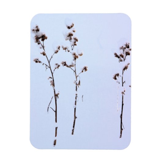 Snow Burrs Magneet (Verticaal)