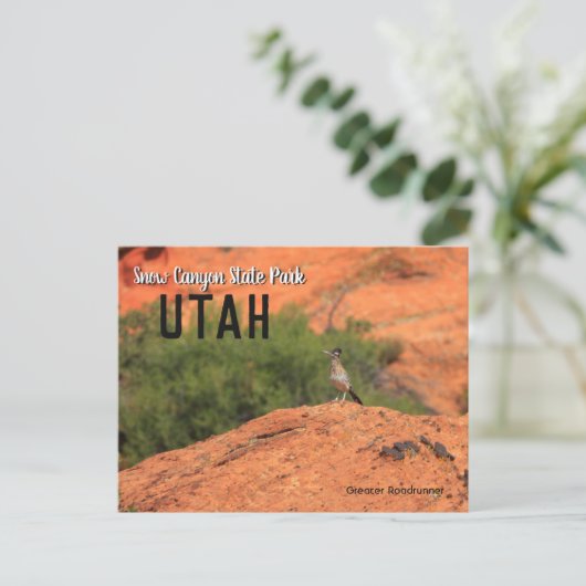 Snow Canyon Roadrunner Utah Briefkaart (Staand voorkant)