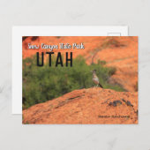 Snow Canyon Roadrunner Utah Briefkaart (Voorkant / Achterkant)