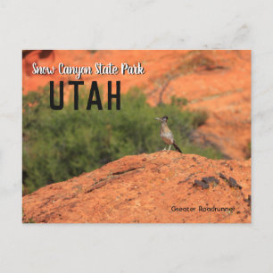 Snow Canyon Roadrunner Utah Briefkaart
