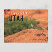 Snow Canyon Roadrunner Utah Briefkaart (Voorkant)