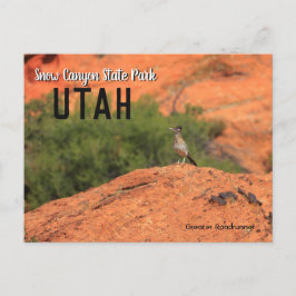 Snow Canyon Roadrunner Utah Briefkaart