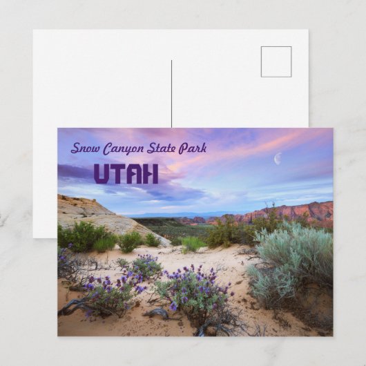 Snow Canyon State Park Utah Briefkaart (Voorkant / Achterkant)