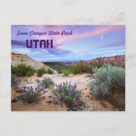 Snow Canyon State Park Utah Briefkaart