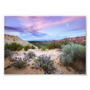 Snow Canyon Sunrise Wildbloemen Landscape Foto Afdruk