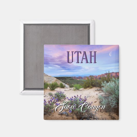 Snow Canyon Utah Magneet (Voorkant / Achterkant)
