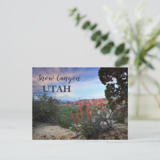 Snow Canyon Utah Wildbloemen Briefkaart (Staand voorkant)