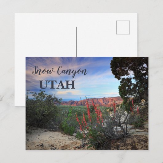 Snow Canyon Utah Wildbloemen Briefkaart (Voorkant / Achterkant)