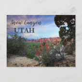 Snow Canyon Utah Wildbloemen Briefkaart (Voorkant)