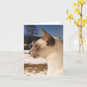 Snow Cat - Siamees Blauw Punt Profiel Kaart (Gele Bloem)