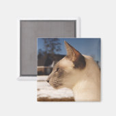 Snow Cat - Siamees Blauw Punt Profiel Magneet (Voorkant / Achterkant)