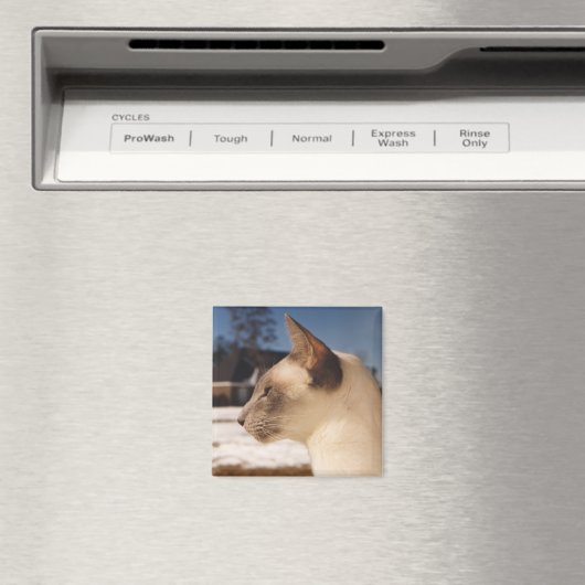 Snow Cat - Siamees Blauw Punt Profiel Magneet (Insitu (Vaatwasser))