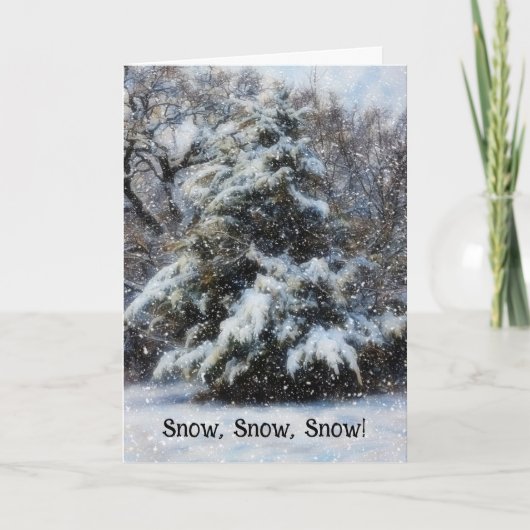Snow Christmas Wishes Holiday Kaart (Voorkant)