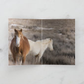Snow Colt Wild Horse Wenskaart Kaart (Binnen)