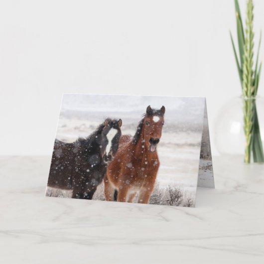 Snow Colts Greeting Card (Voorkant)