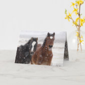 Snow Colts Wild Horse Wenskaart Kaart (Gele Bloem)