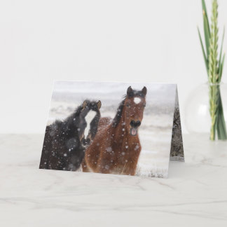 Snow Colts Wild Horse Wenskaart Kaart